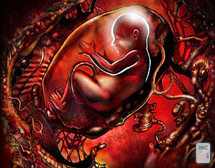 Ilustrao de um beb no ventre